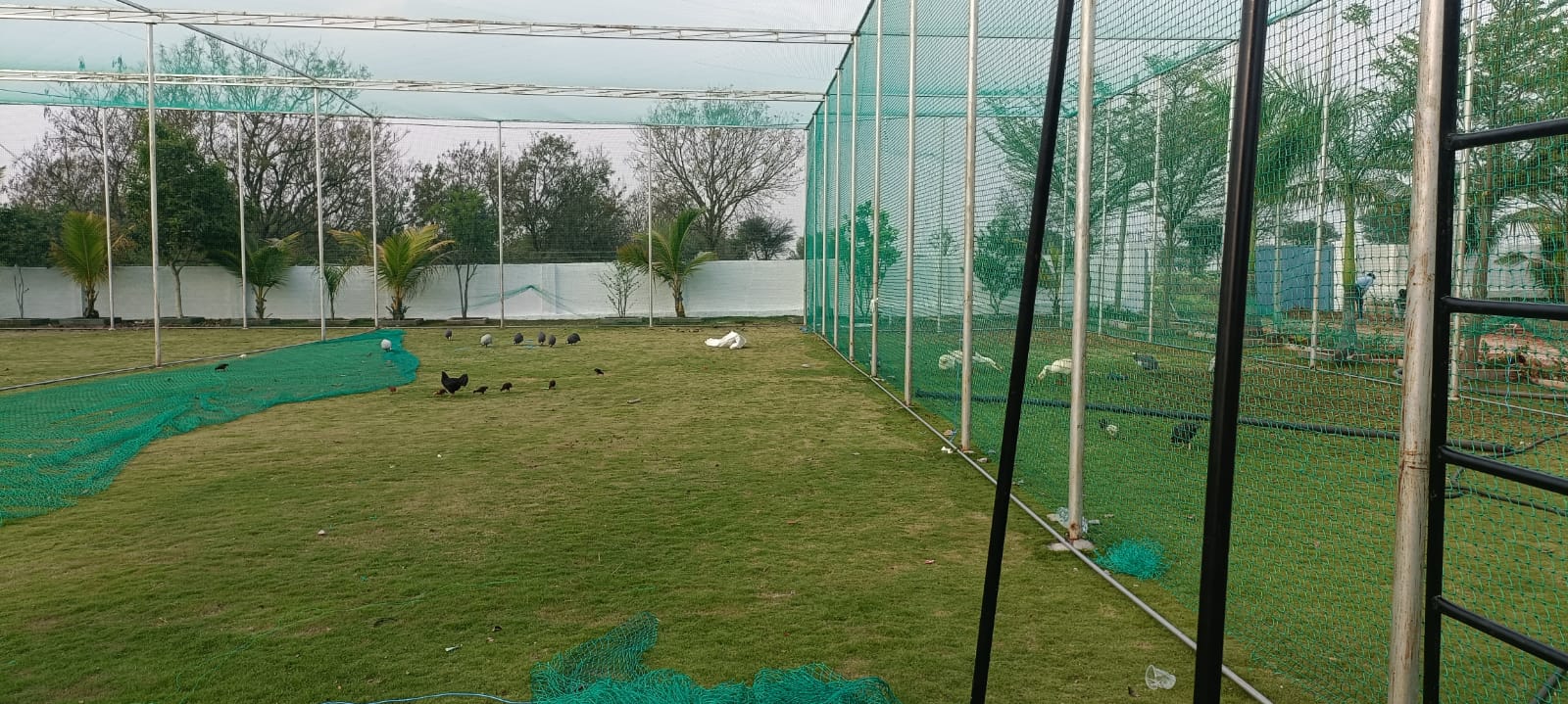 Safety Nets in nagapur